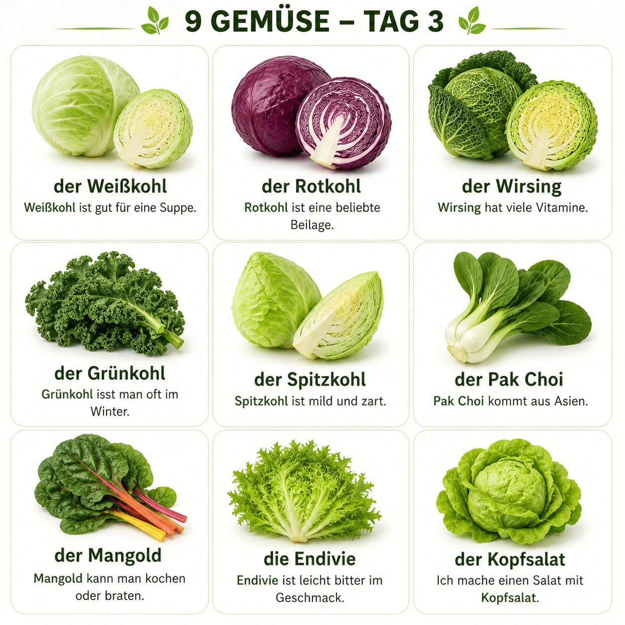 Entdecke 9 Gemüsesorten: Weißkohl, Rotkohl und mehr